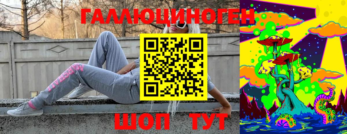 Псилоцибиновые грибы GOLDEN TEACHER  где купить наркоту  Тайшет  Вход с VPN 