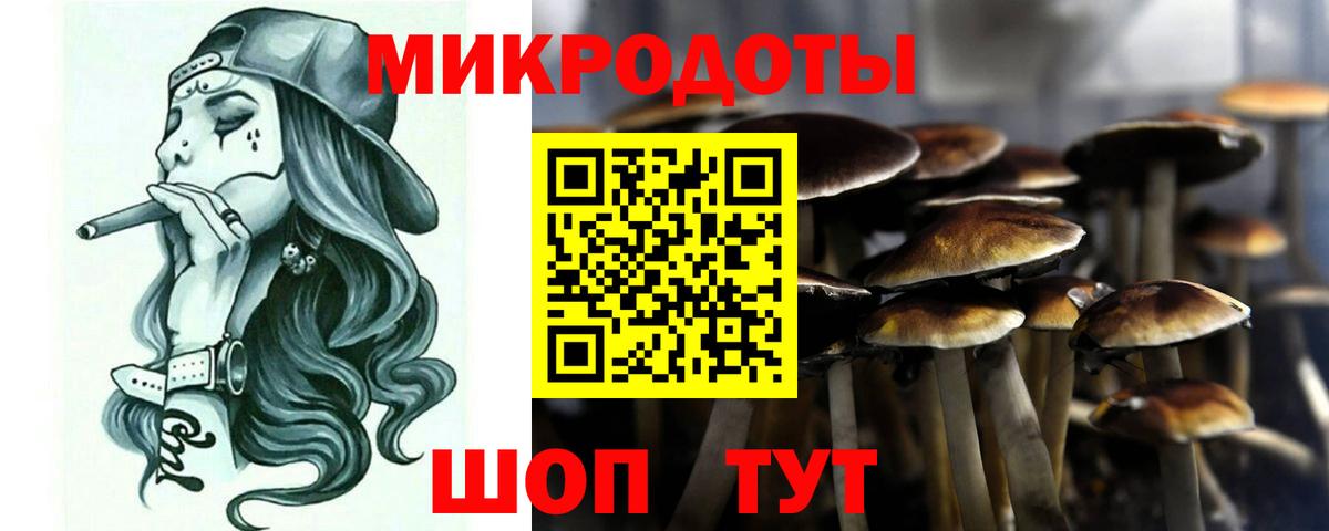 Галлюциногенные грибы мицелий Тайшет